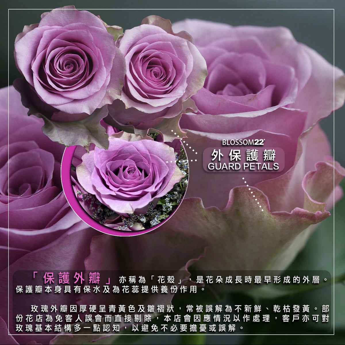 外保護瓣的誤會