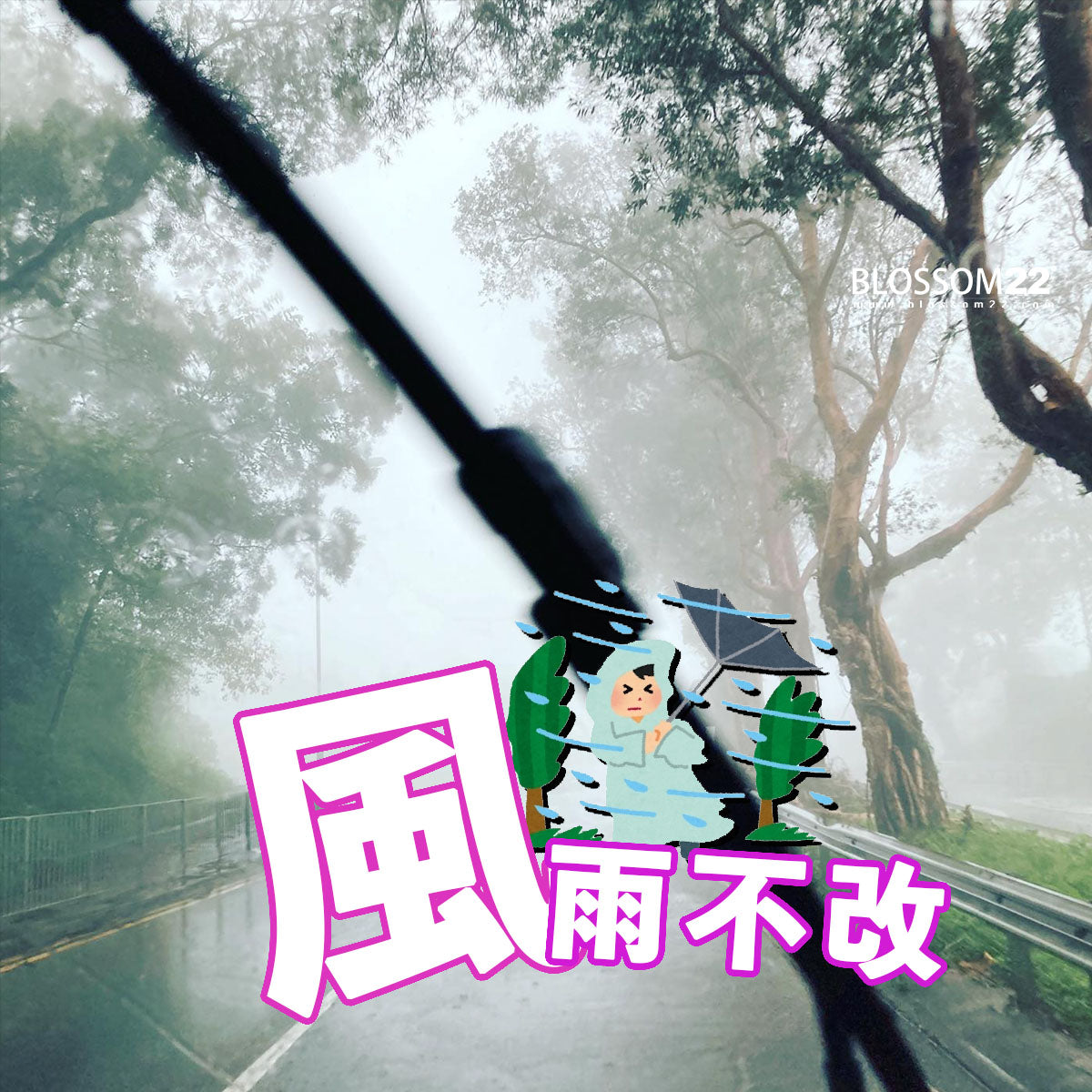 Special Day cannot be changed|風雨不改的堅持