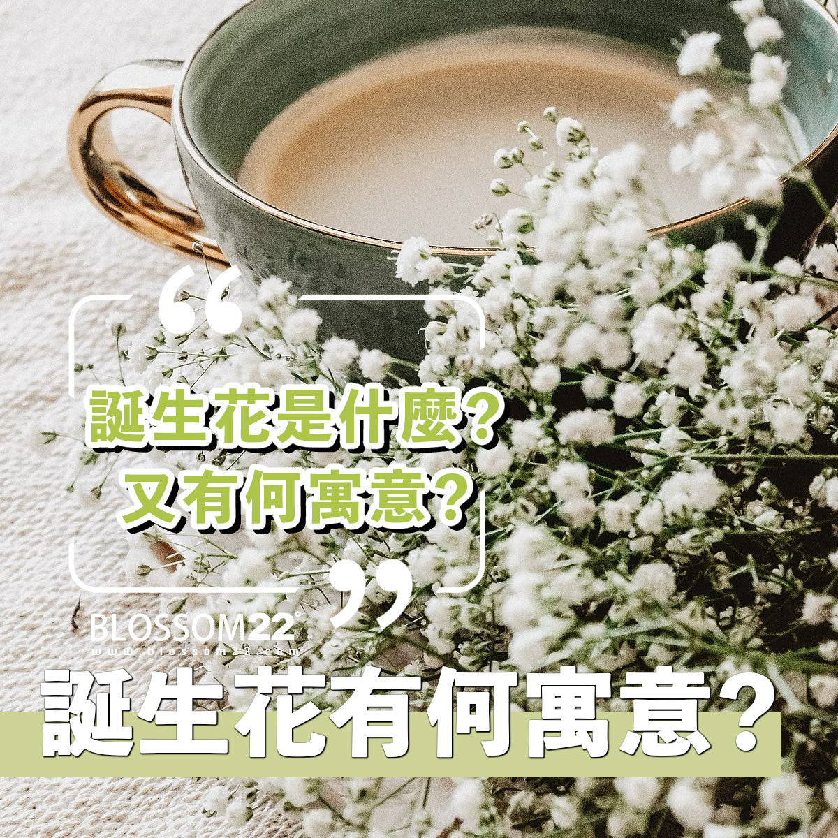誕生花是什麼?又有何寓意?