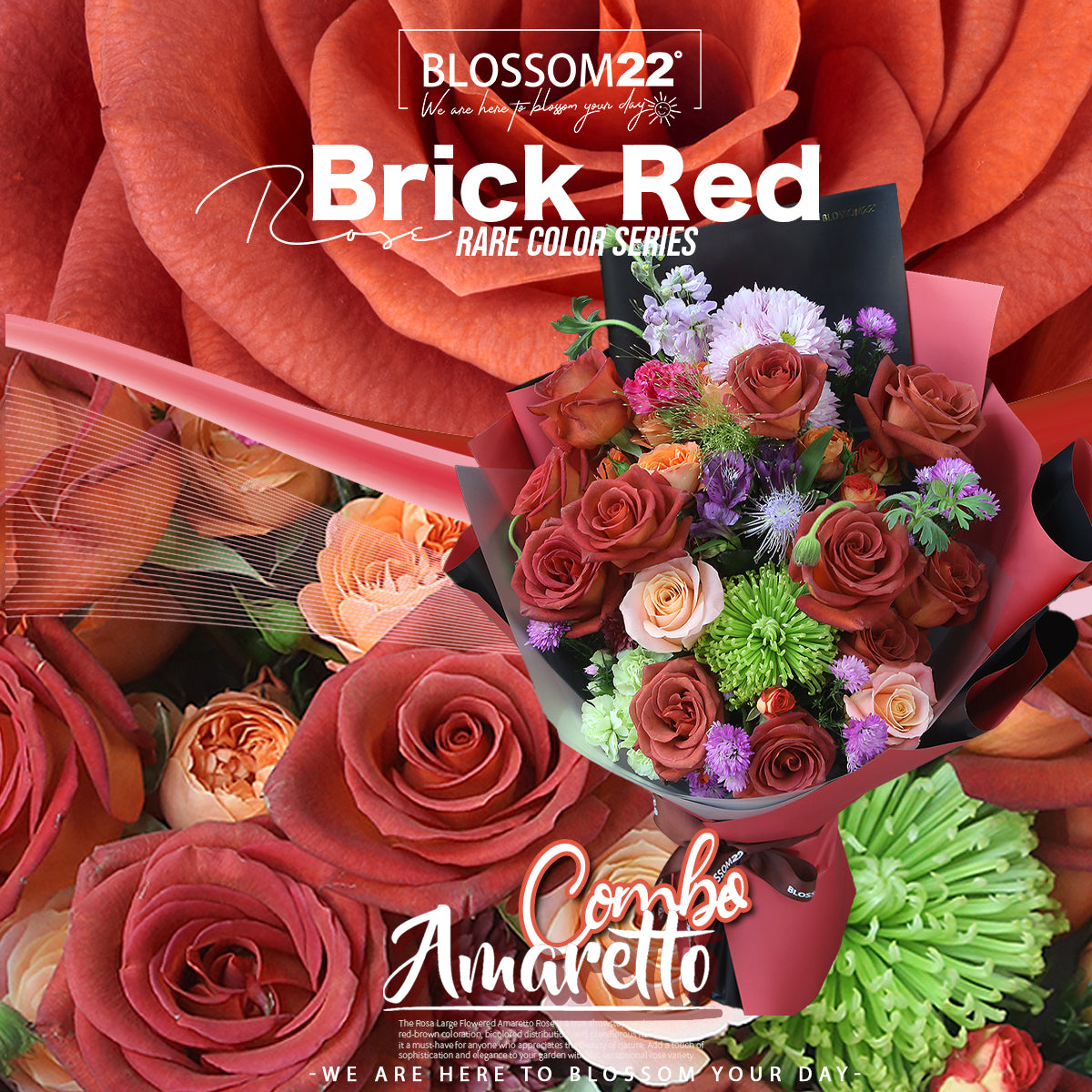 磚紅玫瑰混合花束|Brick Red Rose Combo Bouquet (Amaretto Combo)