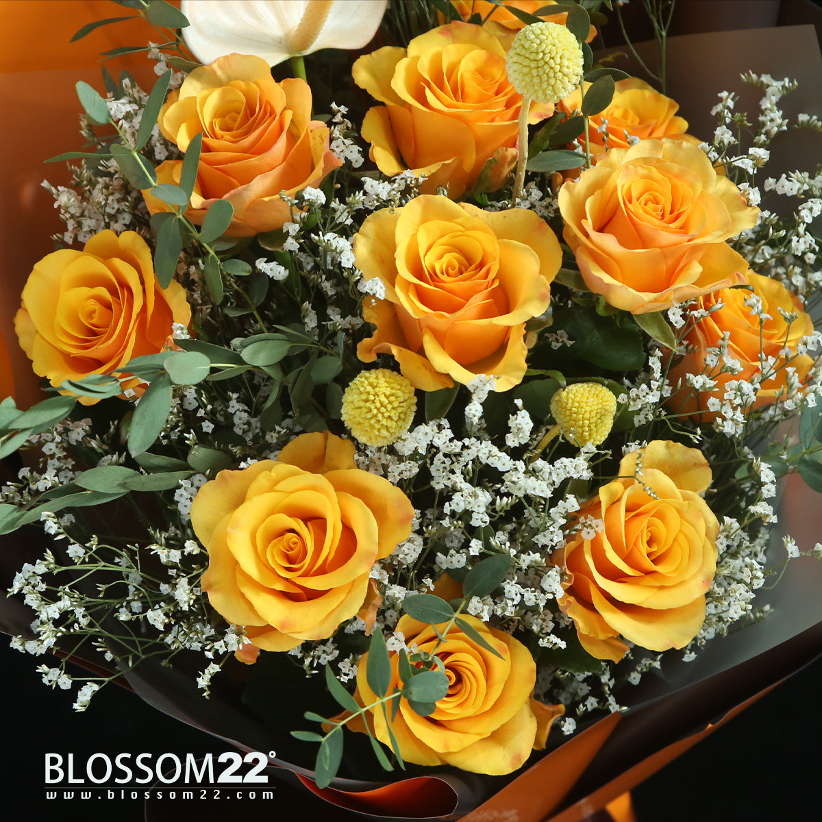 12橙色玫瑰白掌花瓶禮盒|Orange Roses Peace Lily Vase Boxset