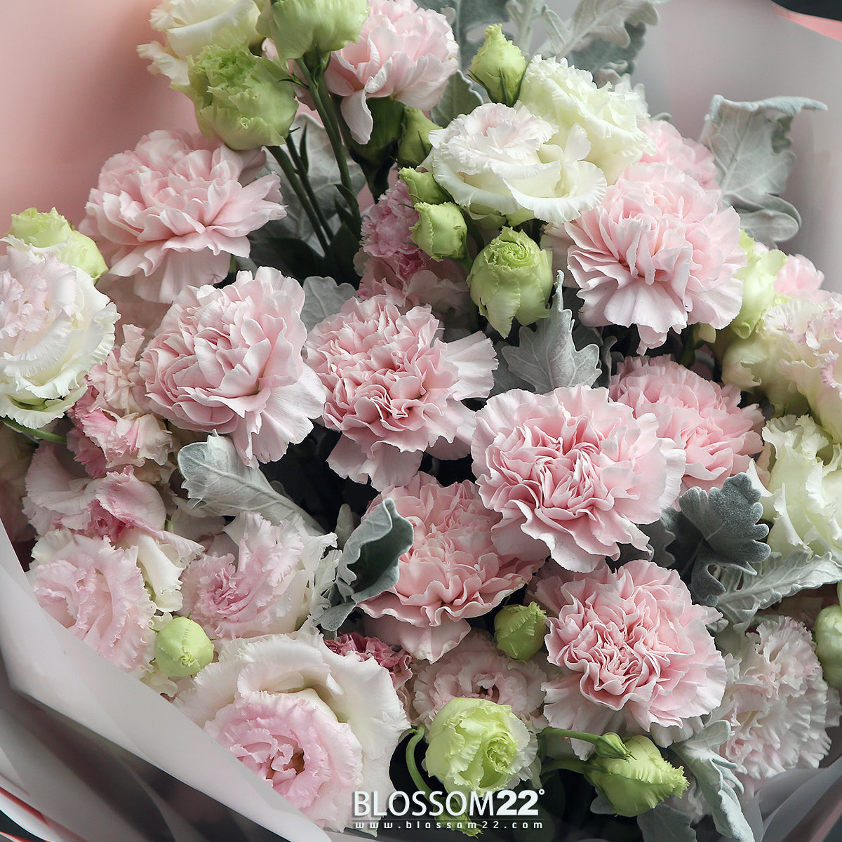 12枝 淺粉色康乃馨奶粉桔梗鮮花束|12 Light Pink Carnation Cream Eustoma Bouquet