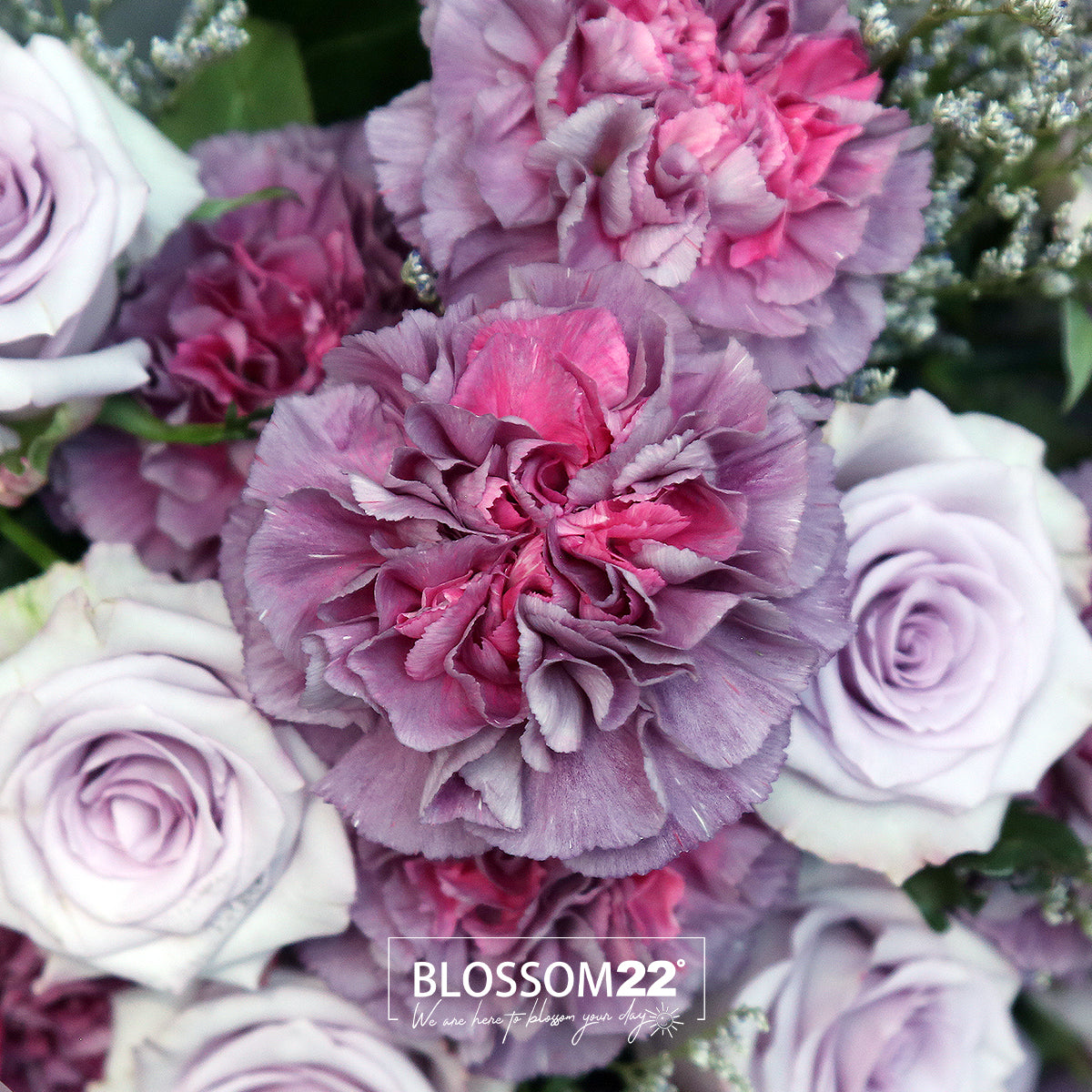 24 紫玫瑰雙色康乃馨花束|24 Purple Roses & Dual Tone Carnation