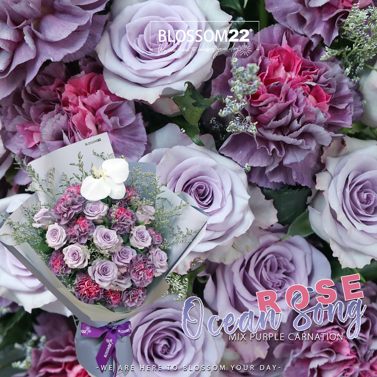24 紫玫瑰雙色康乃馨花束|24 Purple Roses & Dual Tone Carnation