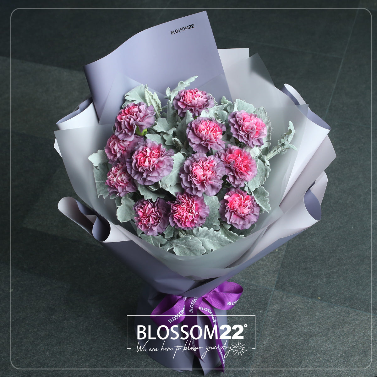 12枝 粉心紫康乃馨鮮花束|12 Dual Tone Purple Carnation Bouquet