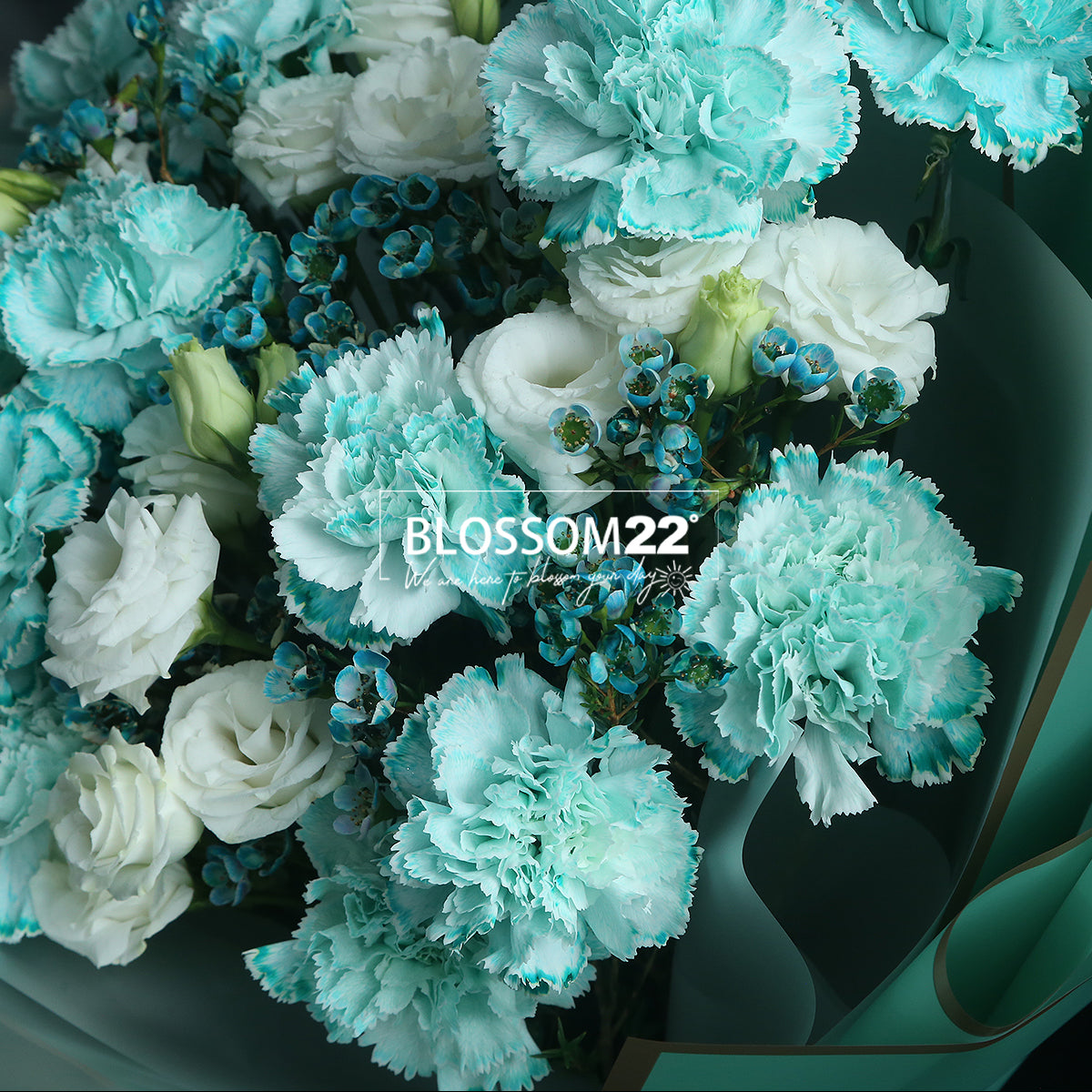 12枝 蒂芬妮藍康乃馨洋桔梗蠟梅花束|12 Tiffany Blue Dyeing Carnation Eustoma Wax Flower bouquet