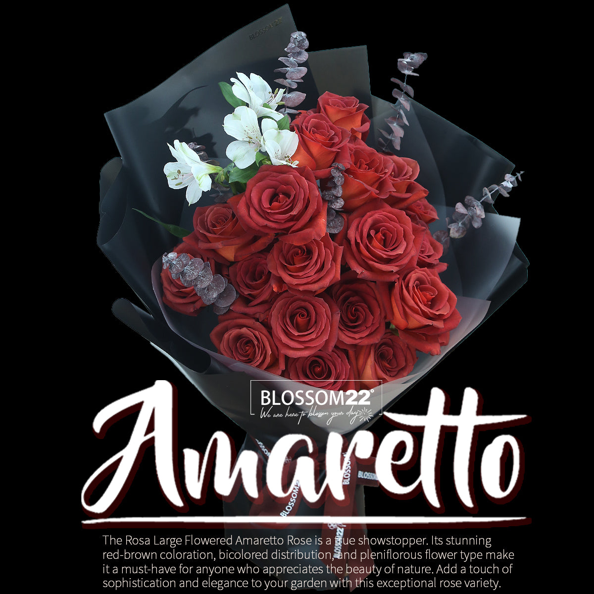 19枝 磚紅玫瑰花束|19 Brick Red Rose Bouquet(19 Amaretto)