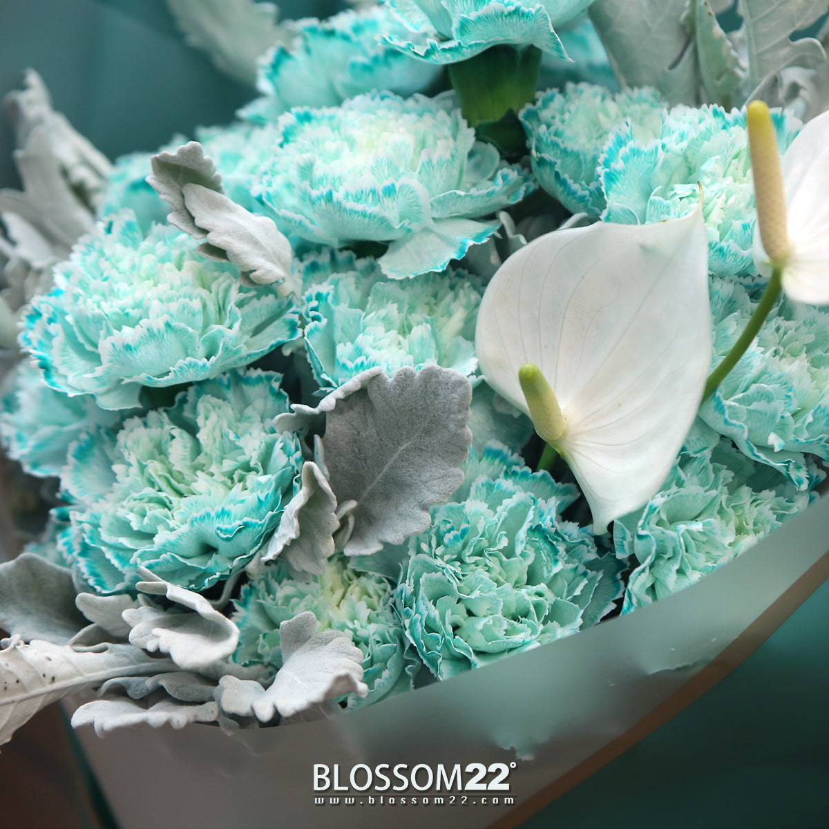 19枝 蒂芬妮藍康乃馨白掌花束|19 Tiffany Blue Dyeing Carnation Peace Lily bouquet