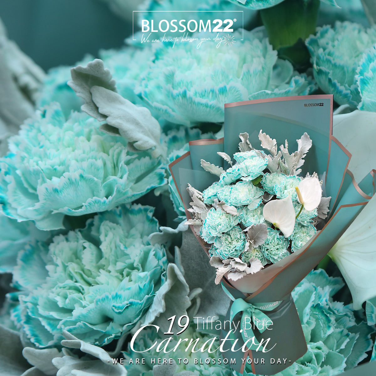 19枝 蒂芬妮藍康乃馨白掌花束|19 Tiffany Blue Dyeing Carnation Peace Lily bouquet