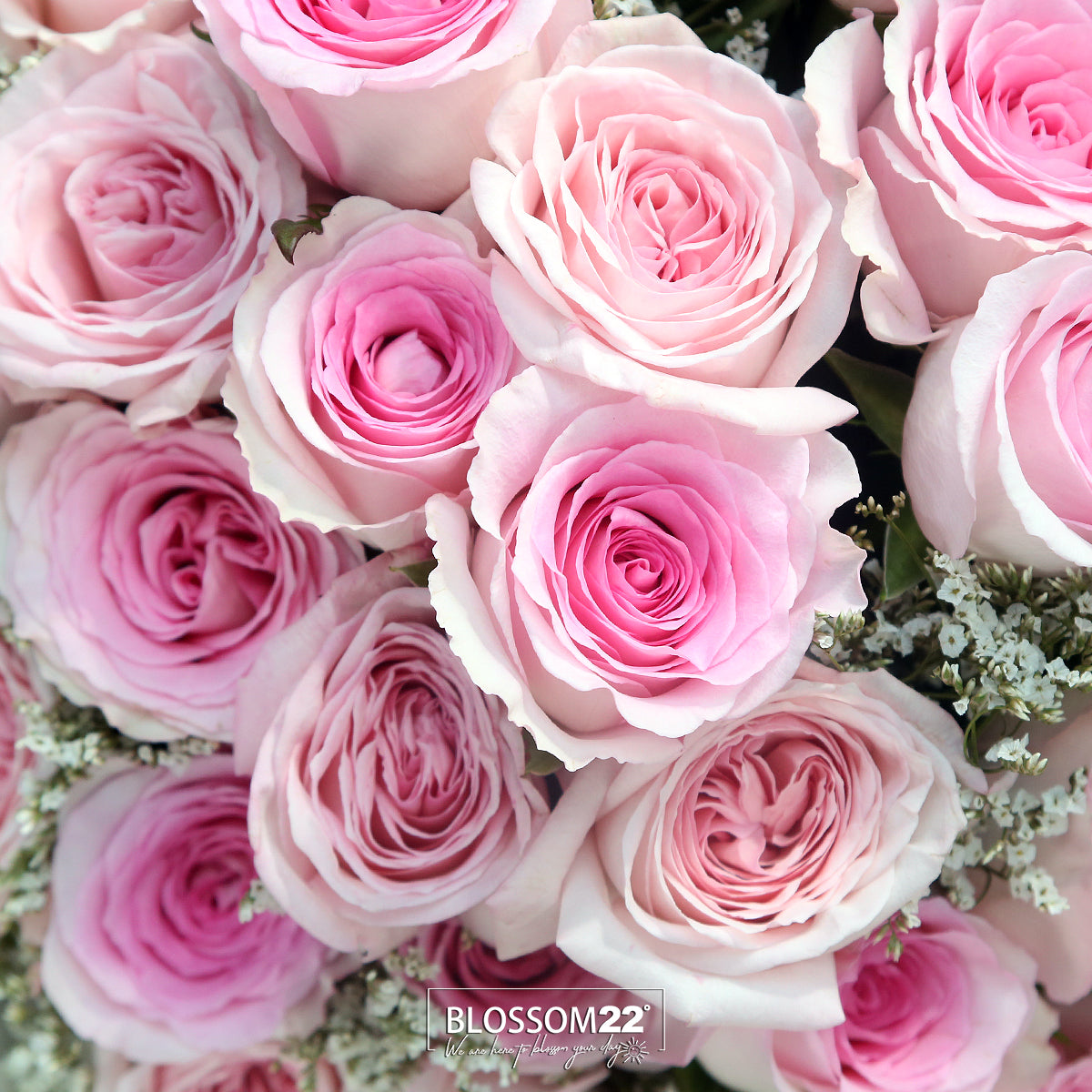 33枝 混色粉玫瑰花束|33 Mixed Pink Roses Bouquet (Princess)