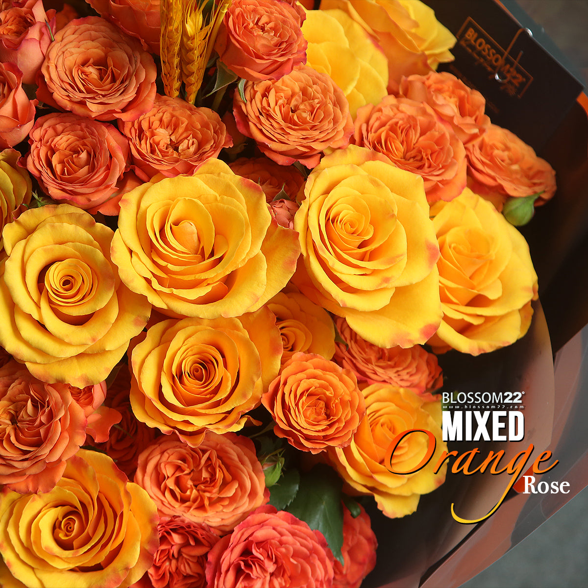 橙色混合玫瑰花束|Mixed Orange Roses Bouquet (Wheat 稻香)