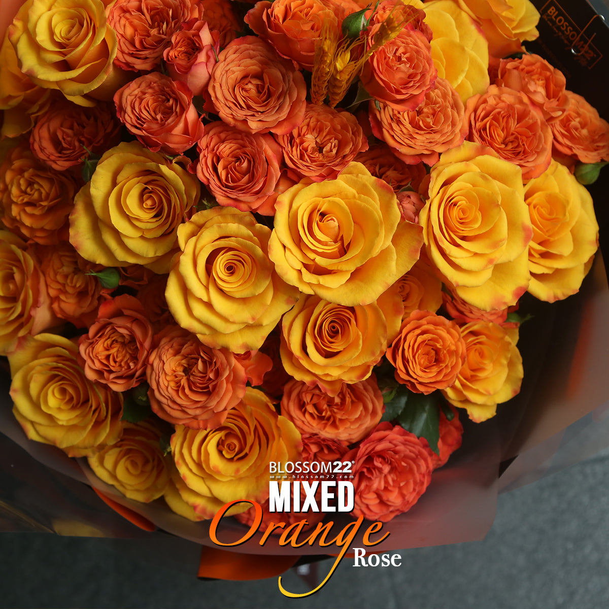 橙色混合玫瑰花束|Mixed Orange Roses Bouquet (Wheat 稻香)