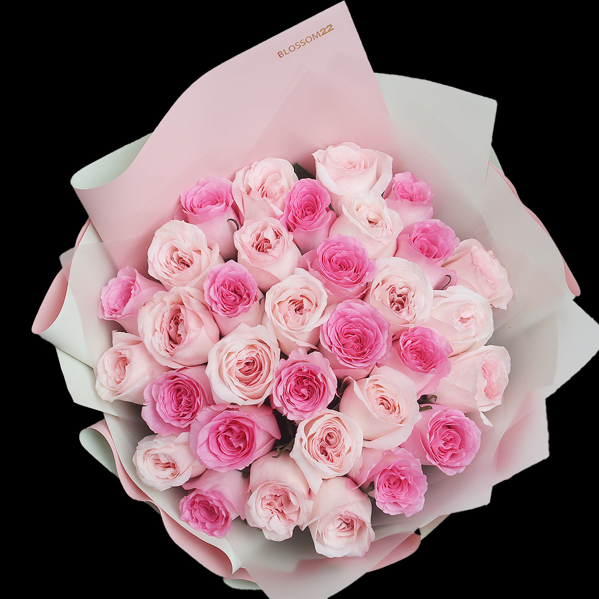 33枝 雙色粉玫瑰花束|33 Two Tone Pink Roses Bouquet