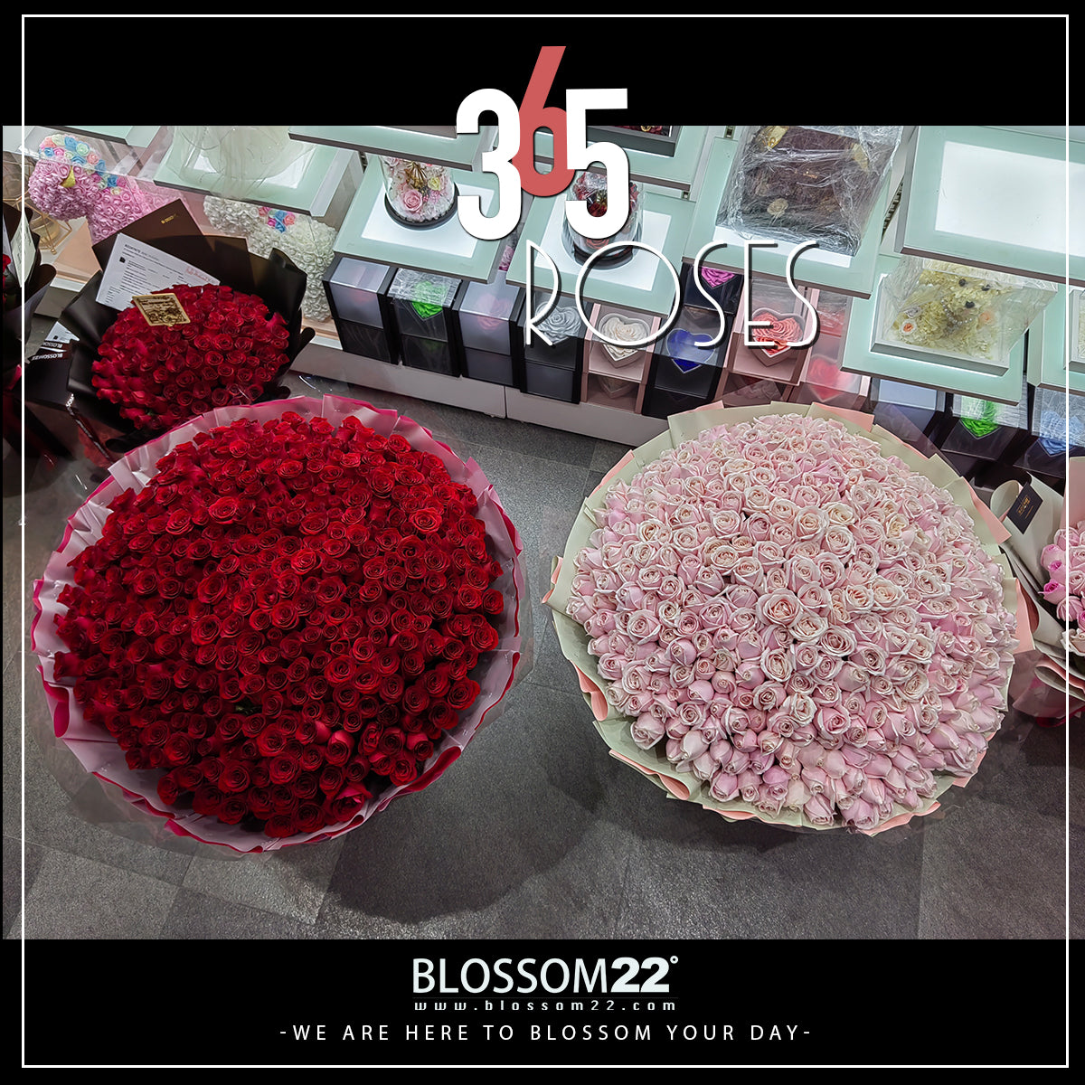 365枝 紅玫瑰花束|365 Red Roses Bouquet