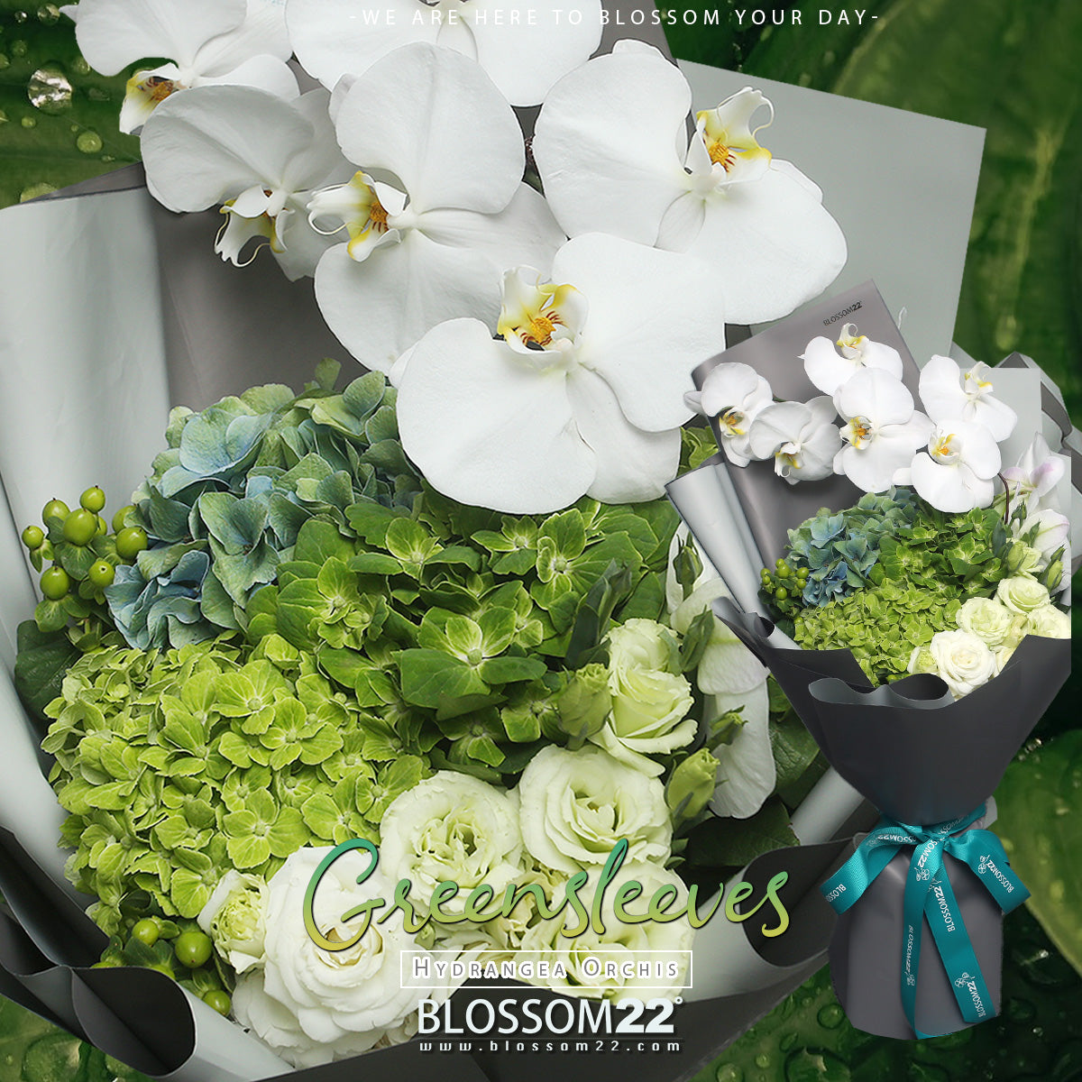 4 綠繡球蝴蝶蘭花束|4 Green Hydrangea & Orchid (Greensleeves )