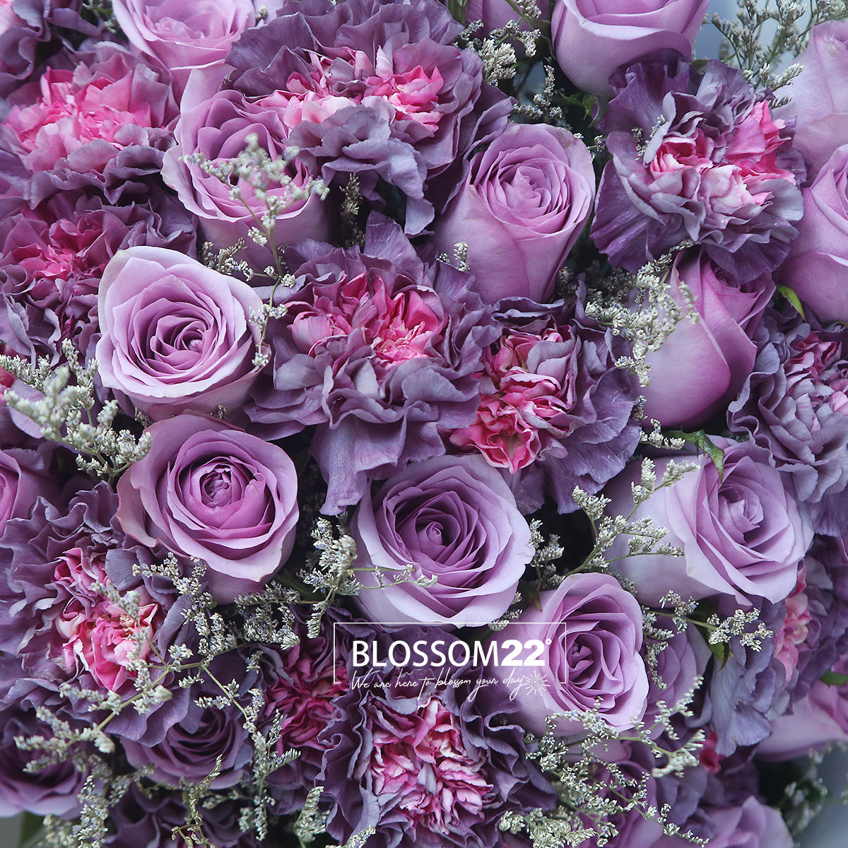 52 紫玫瑰雙色康乃馨花束|52 Purple Roses & Dual Tone Carnation