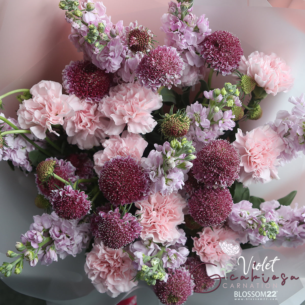 粉康乃馨紫羅蘭松蟲草花束|Pink Carnation Hoary Stock  Scabiosa Bouquet
