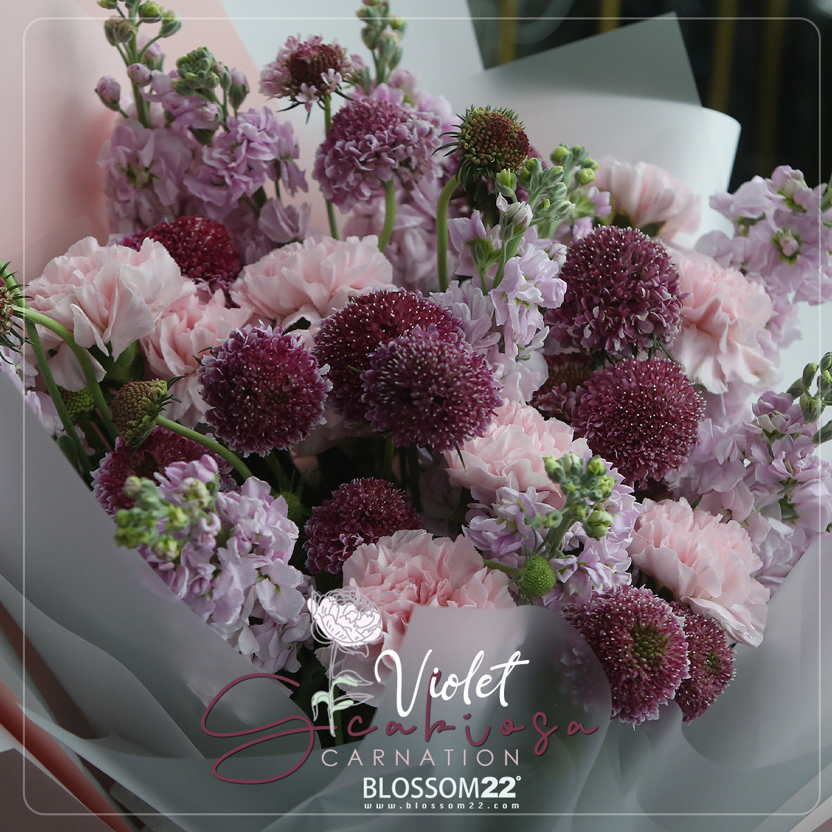 粉康乃馨紫羅蘭松蟲草花束|Pink Carnation Hoary Stock  Scabiosa Bouquet
