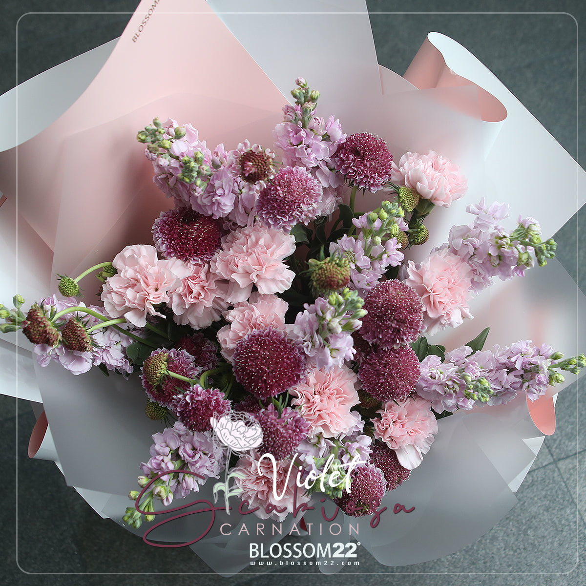 粉康乃馨紫羅蘭松蟲草花束|Pink Carnation Hoary Stock  Scabiosa Bouquet