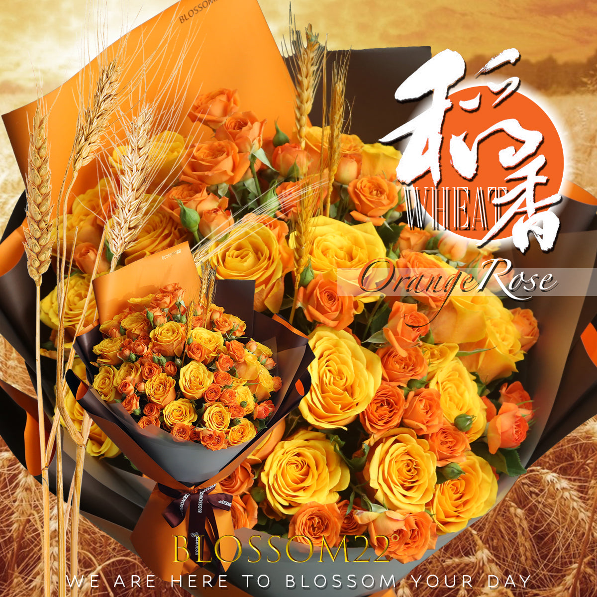 橙色混合玫瑰花束|Mixed Orange Roses Bouquet (Wheat 稻香)