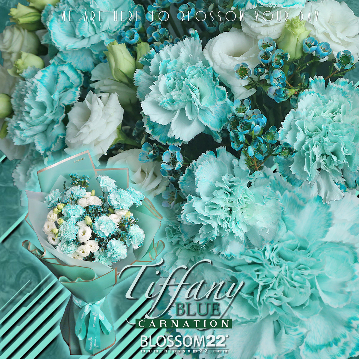 12枝 蒂芬妮藍康乃馨洋桔梗蠟梅花束|12 Tiffany Blue Dyeing Carnation Eustoma Wax Flower bouquet