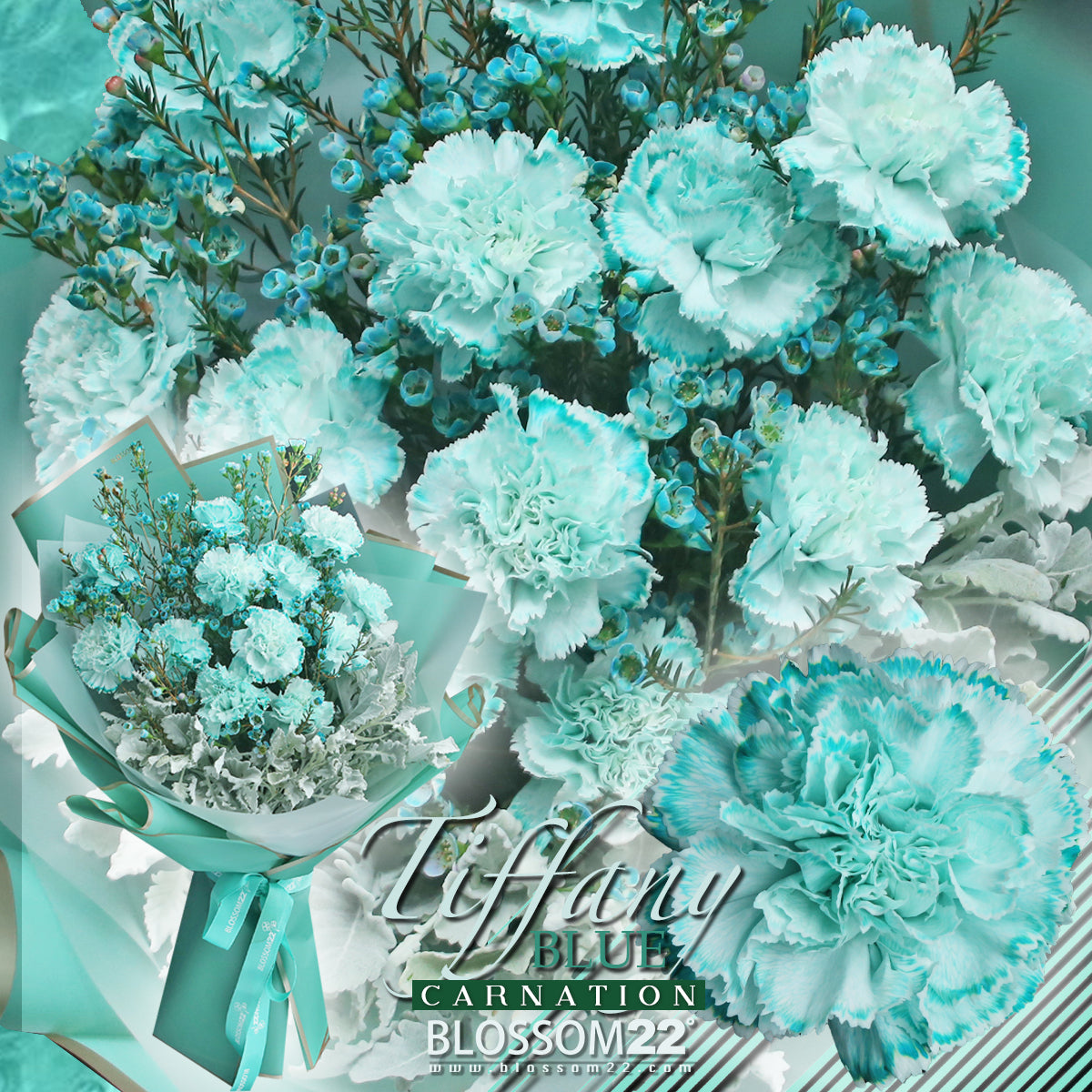 12枝 蒂芬妮藍康乃馨蠟梅花束|12 Tiffany Blue Dyeing Carnation Wax Flower bouquet