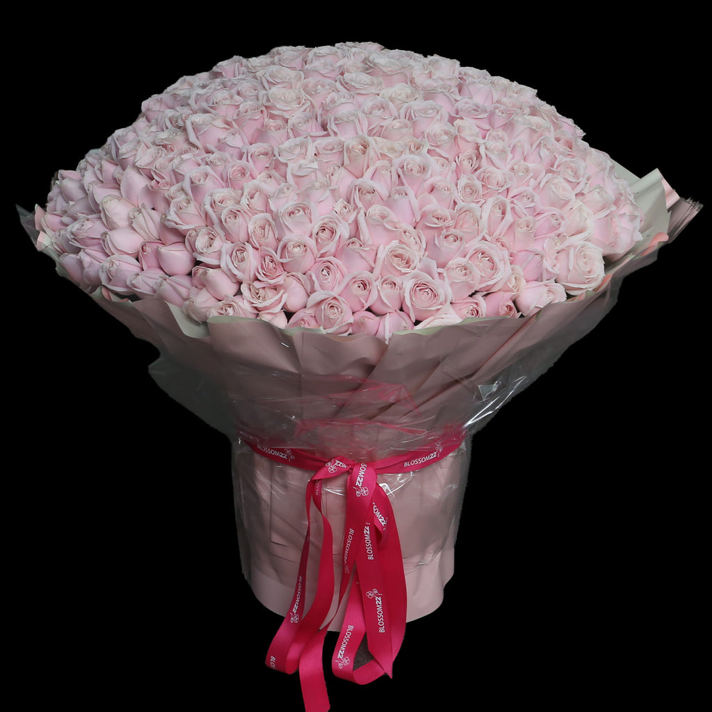 365枝 淺粉玫瑰花束｜365 Light Pink Roses Bouquet fresh bouquet 鮮花束 Blossom22°