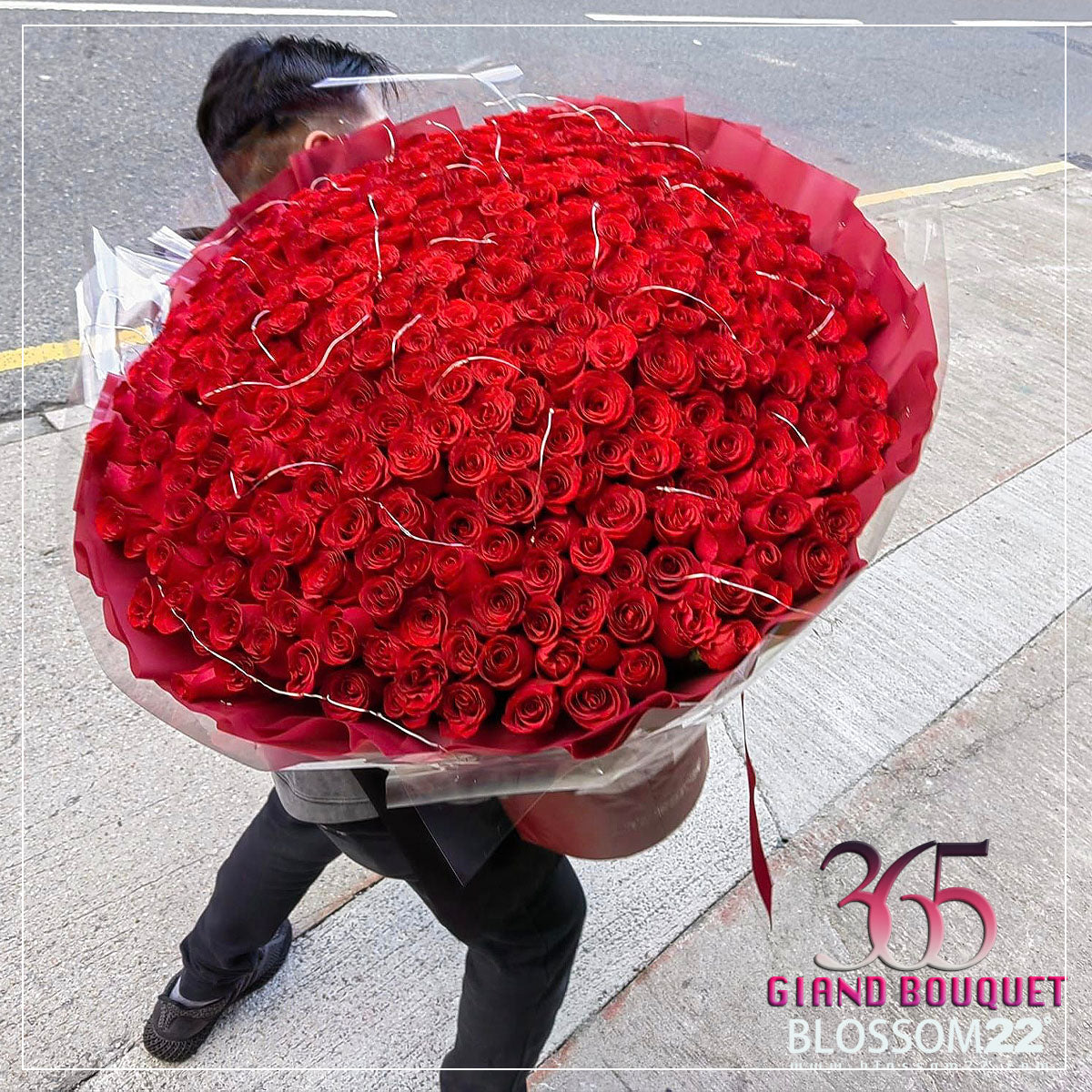 365枝 紅玫瑰花束|365 Red Roses Bouquet fresh bouquet 鮮花束 Blossom22°