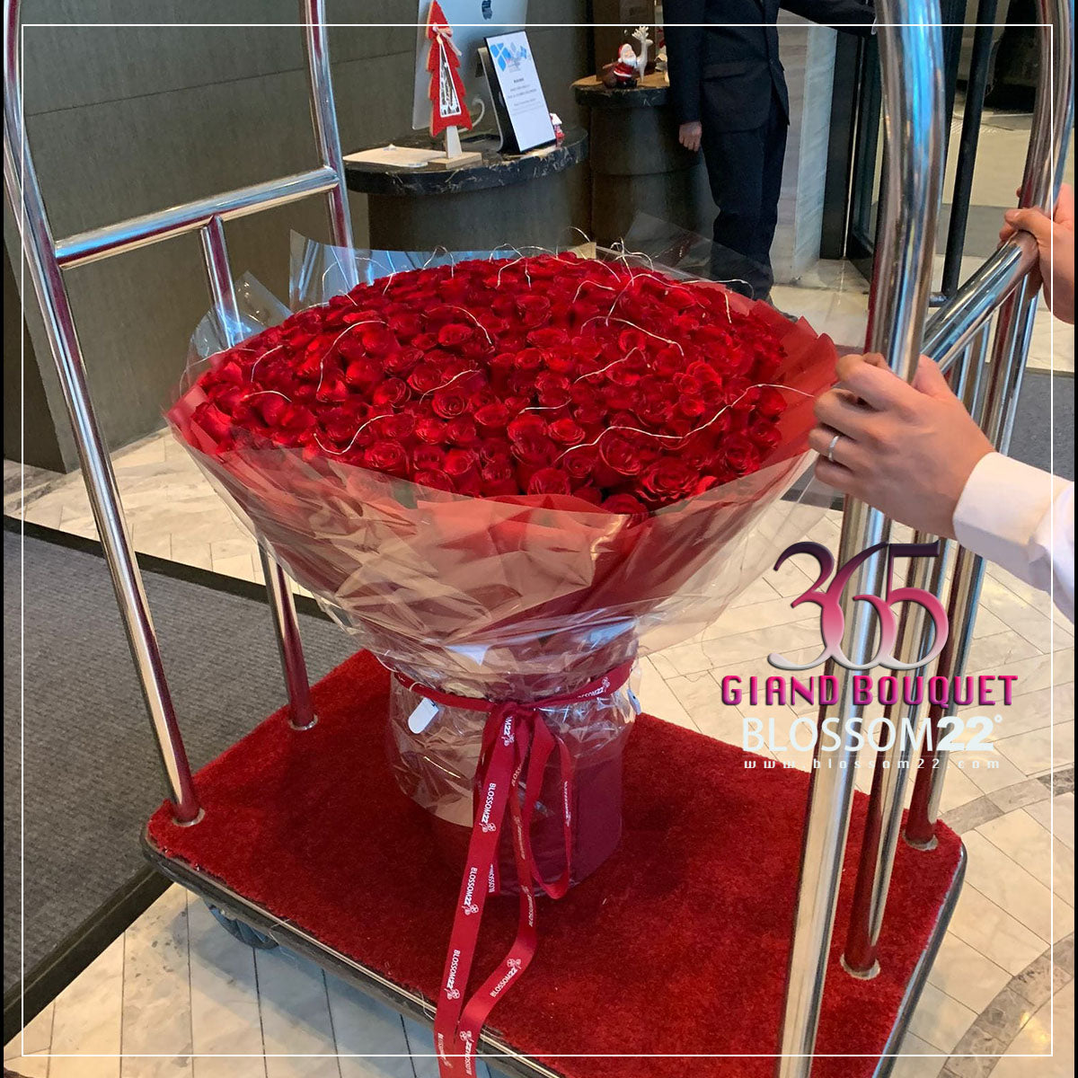 365枝 紅玫瑰花束|365 Red Roses Bouquet fresh bouquet 鮮花束 Blossom22°