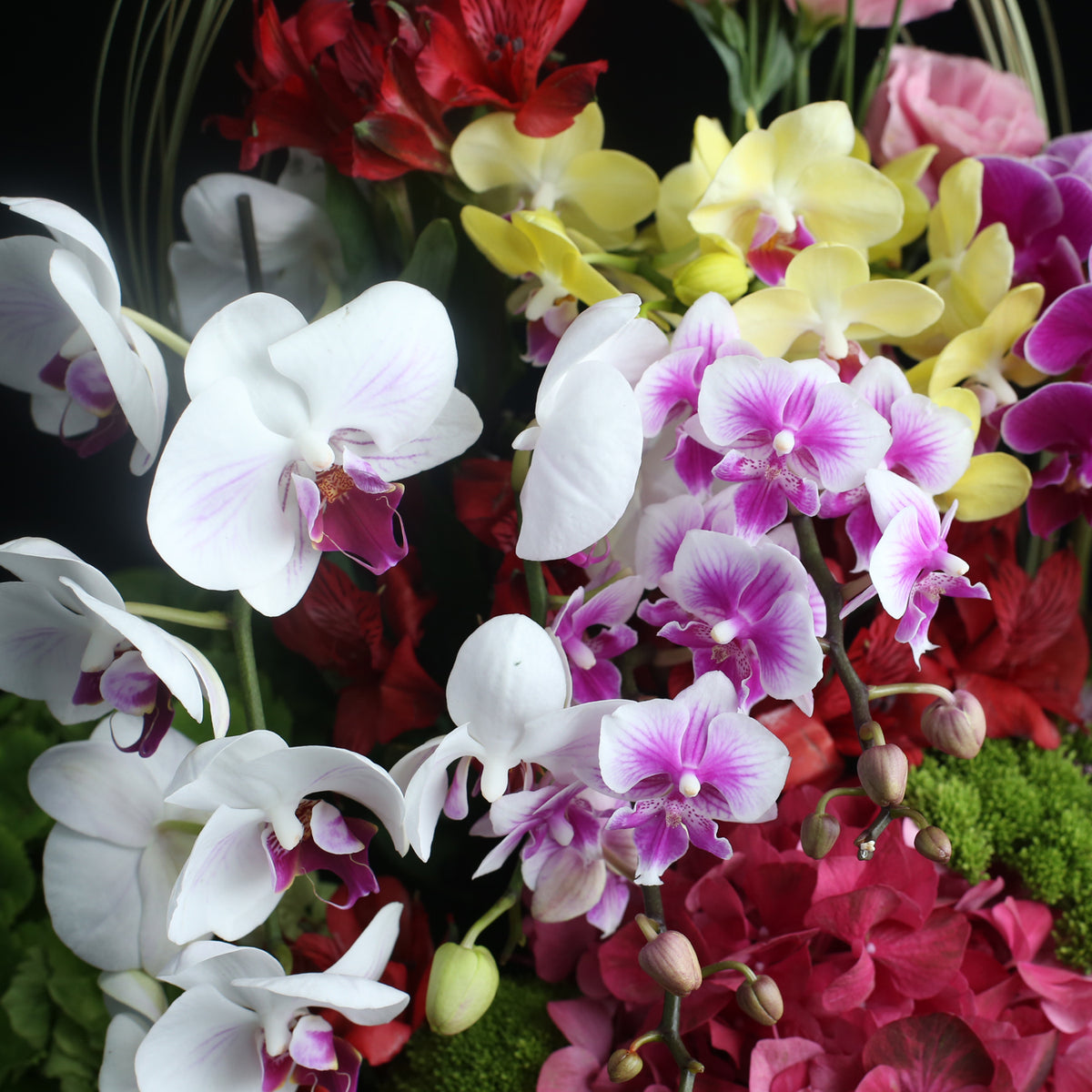 花盒設計 03|Flower Box Arrangement 03  Blossom22°