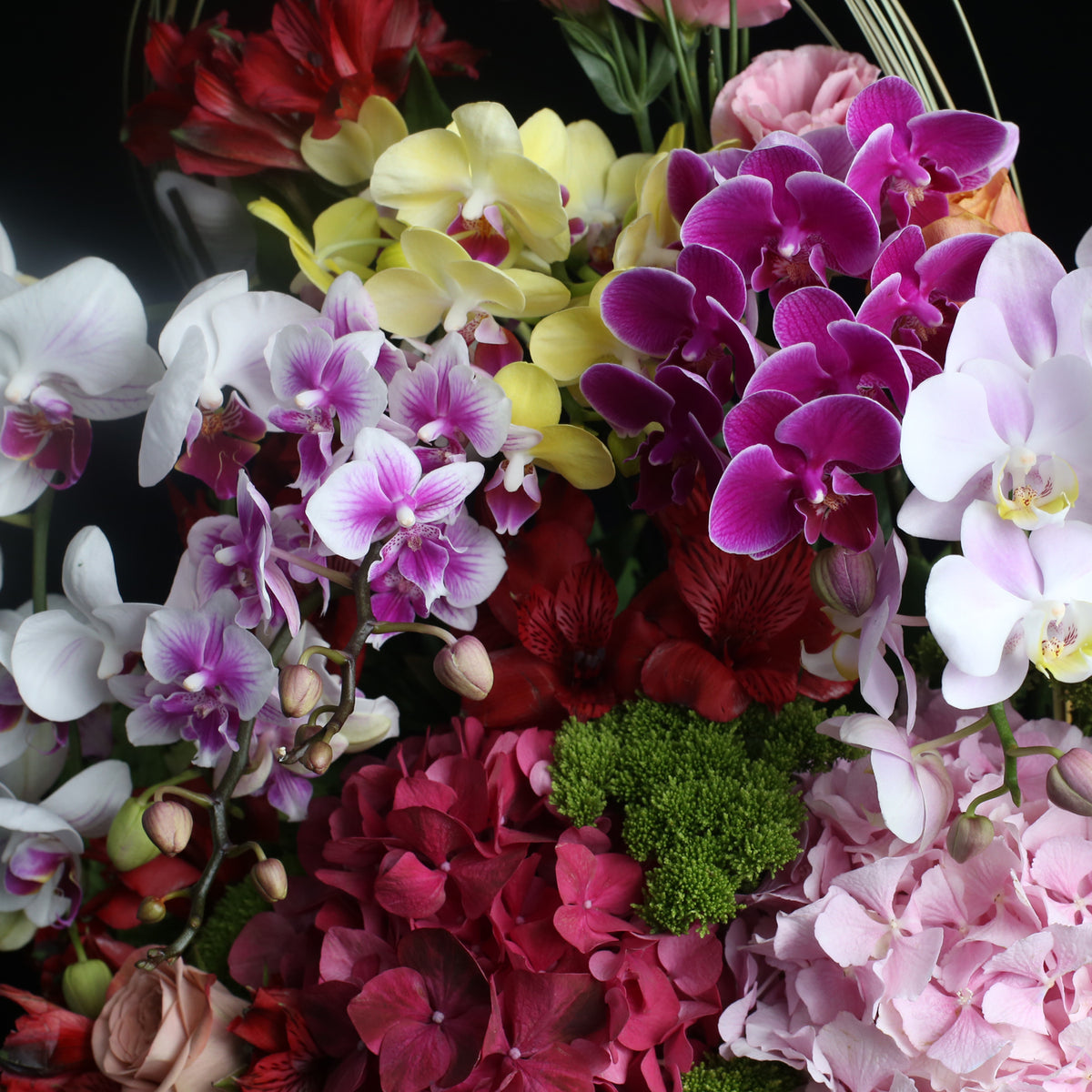 花盒設計 03|Flower Box Arrangement 03  Blossom22°