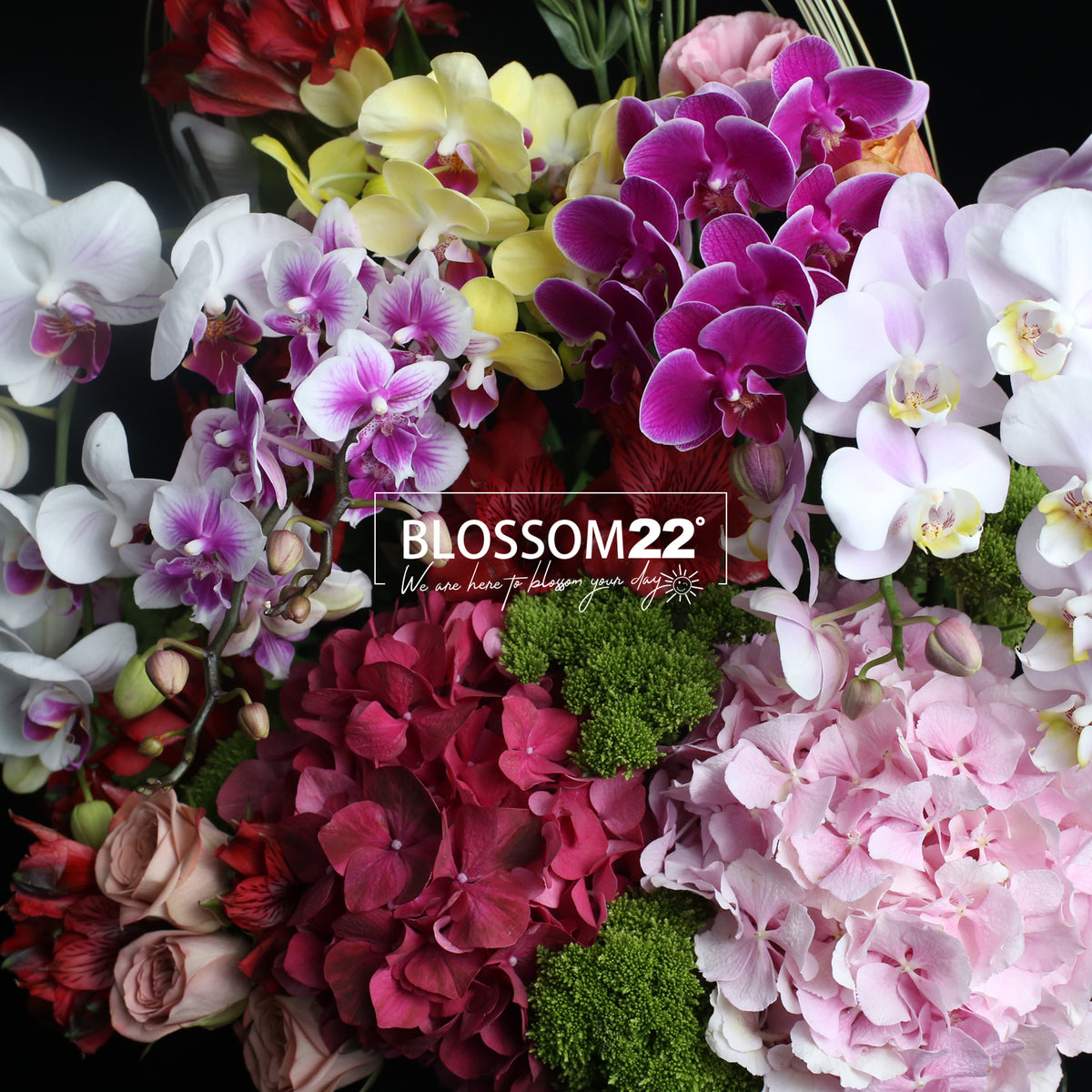 花盒設計 03|Flower Box Arrangement 03  Blossom22°