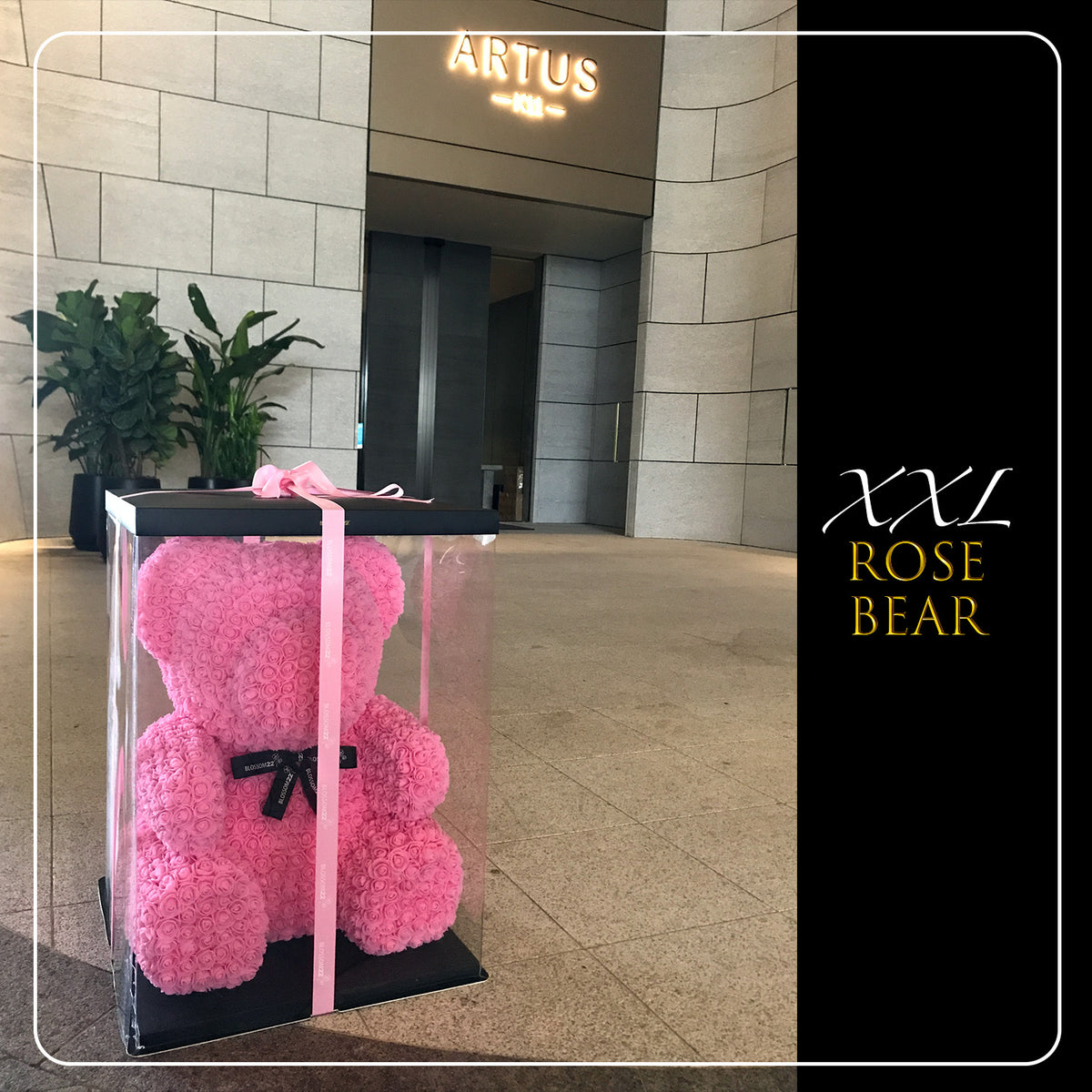 粉色巨型玫瑰熊|XXL Pink Rose Bear Other Products Blossom22hk