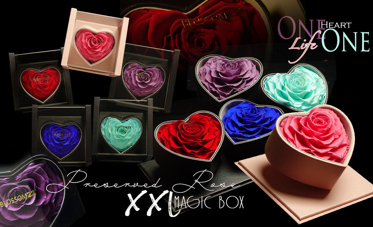 XXL Heart Roses Preserved Flower Box｜巨型心型玫瑰保鮮花盒