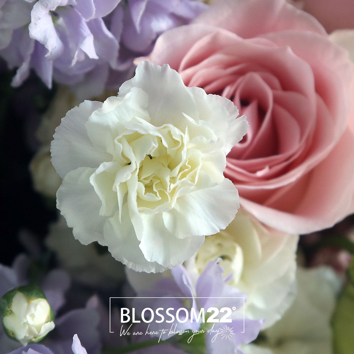 粉玫瑰紫羅蘭多頭康乃馨花束｜Pink Rose, Spray Carnation & Stock Bouquet 花束 香港花店 Blossom22°