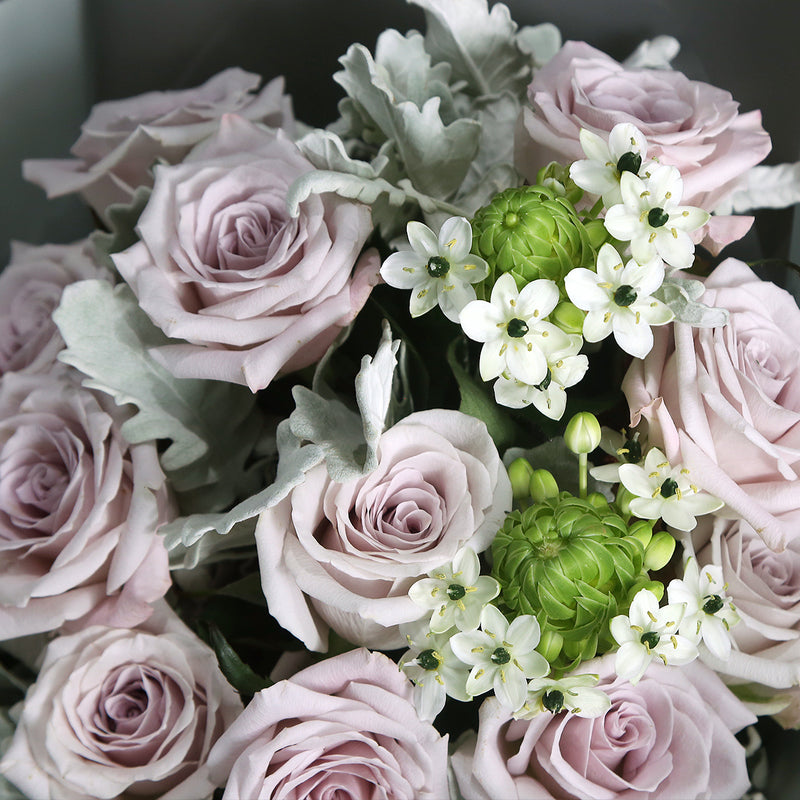 12枝 灰粉玫瑰天鵝絨花束 ｜12 Grey Pink Rose Wonder Flower bouquet (Menta)