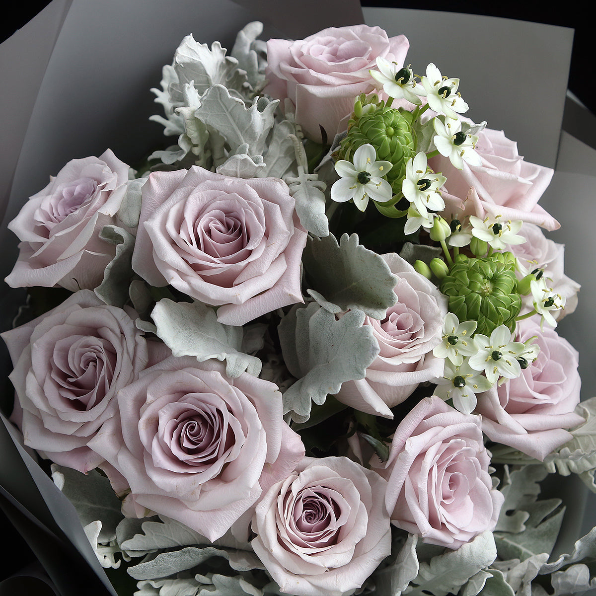 12枝 灰粉玫瑰天鵝絨花束 ｜12 Grey Pink Rose Wonder Flower bouquet (Menta)