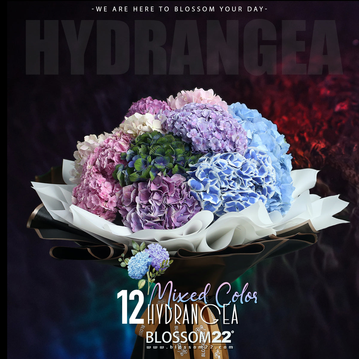 12 混色繡球花束｜12 Mixed Hydrangea Bouquet