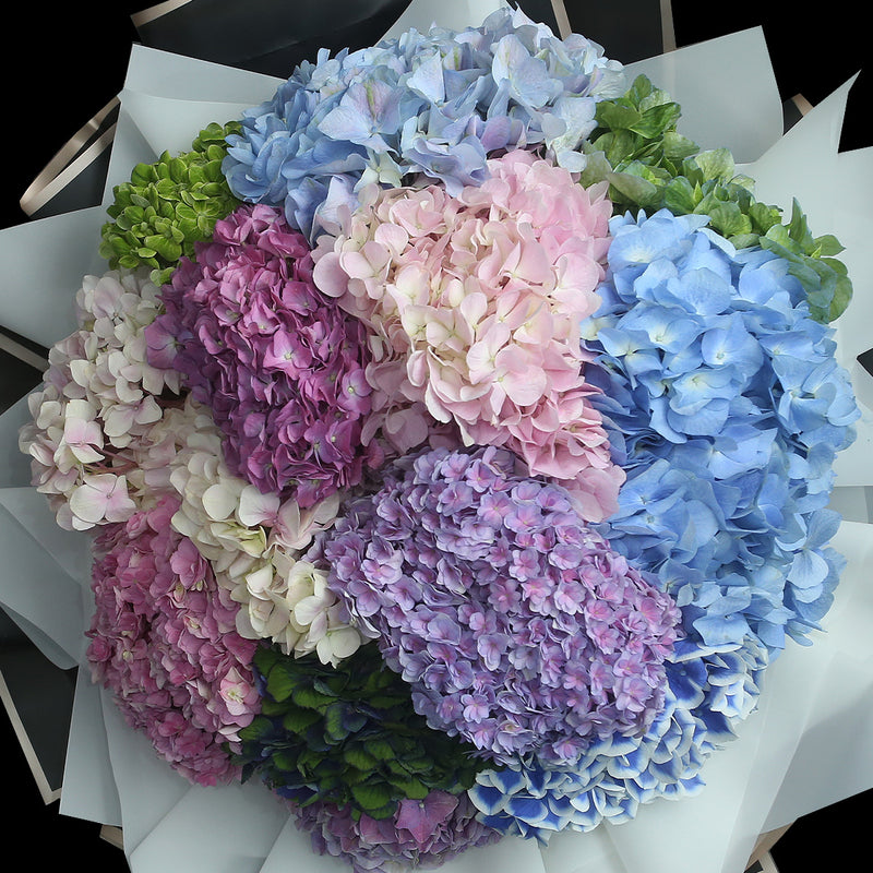 12 混色繡球花束｜12 Mixed Hydrangea Bouquet