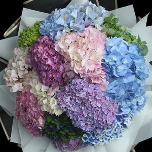 12 混色繡球花束｜12 Mixed Hydrangea Bouquet （情人節花束）