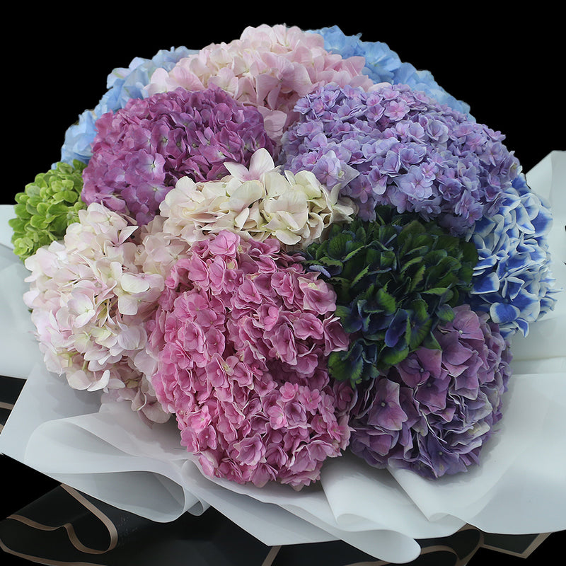 12 混色繡球花束｜12 Mixed Hydrangea Bouquet