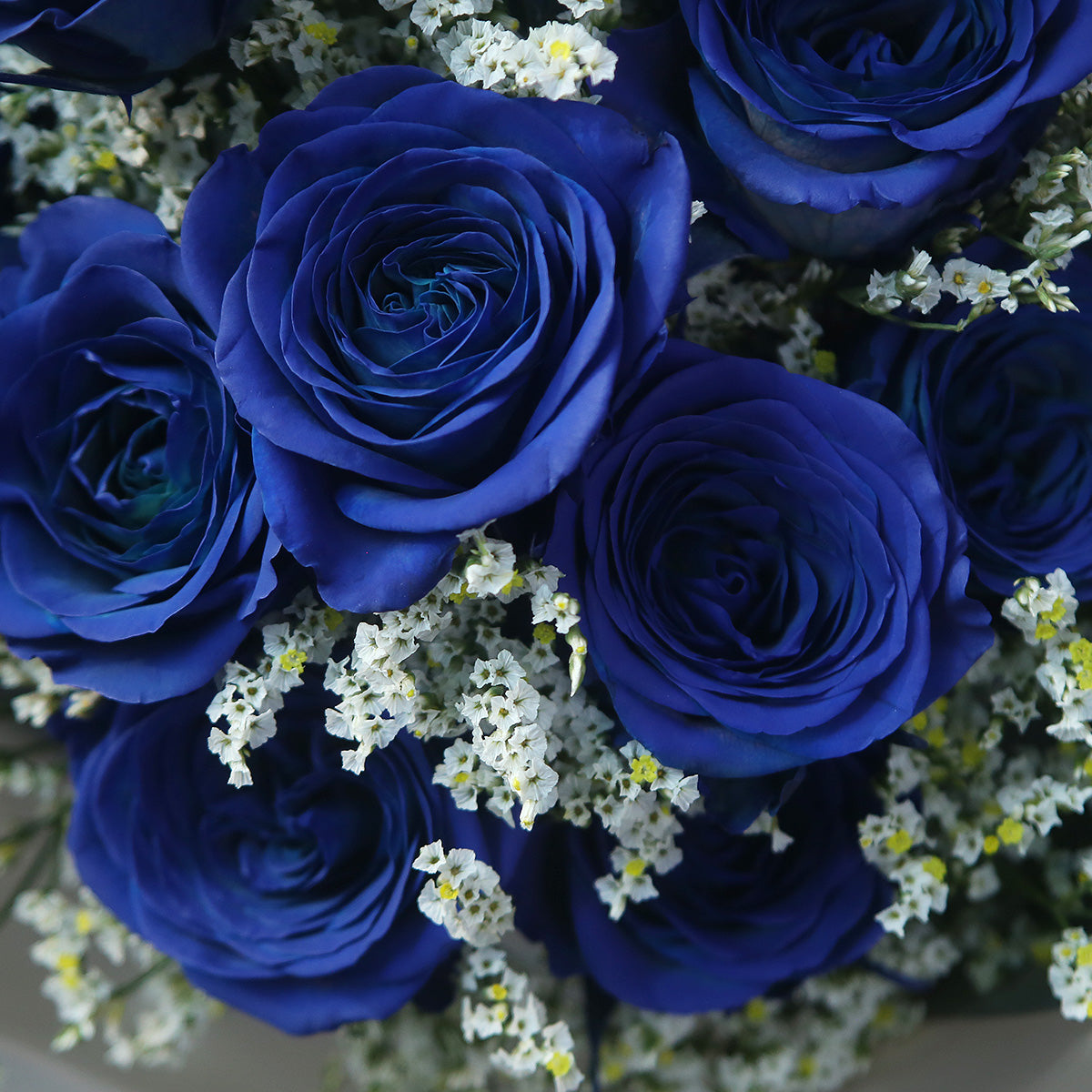 12枝 貴族藍玫瑰花束｜12 Navy Blue Dyeing Rose bouquet