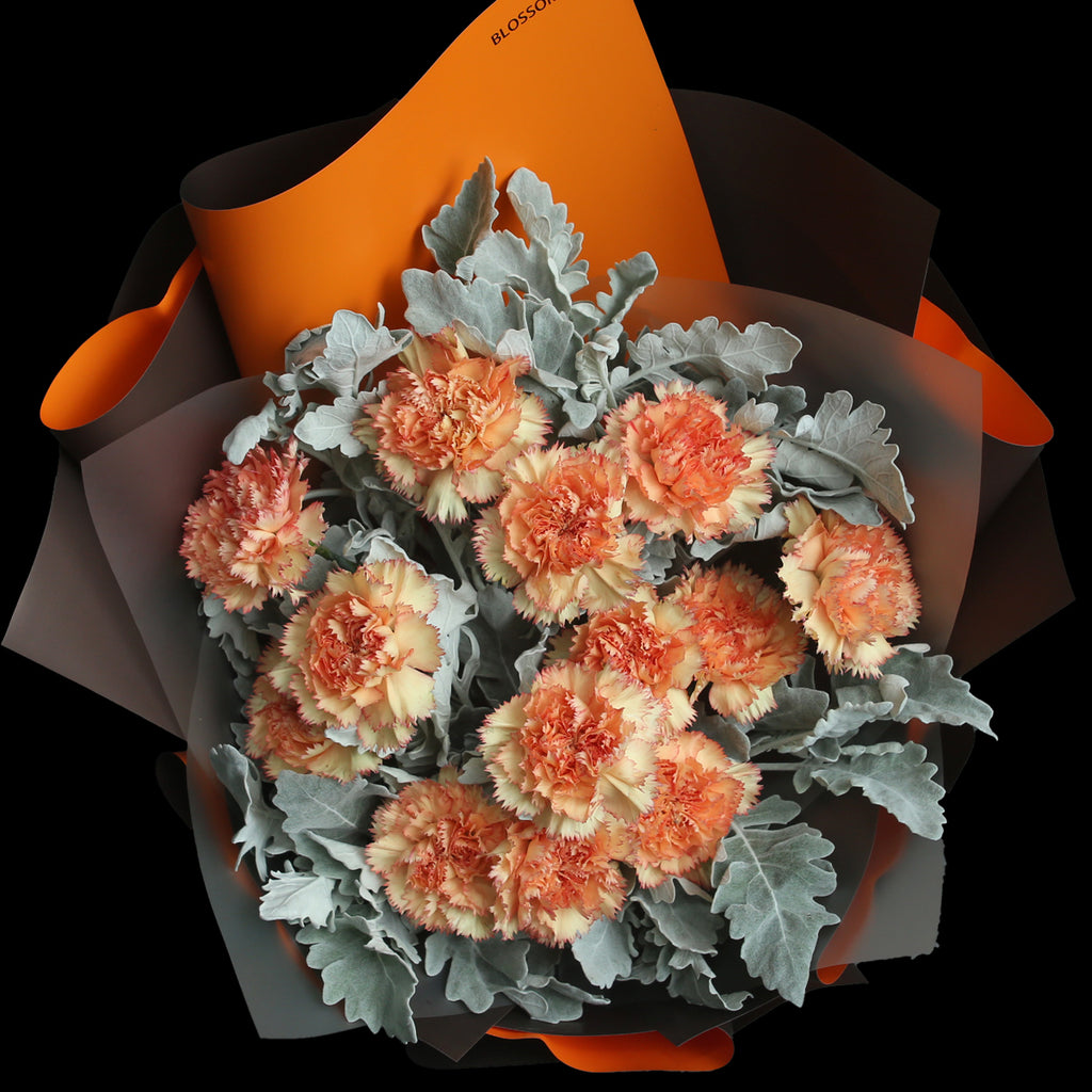 12枝 橙色康乃馨鮮花束｜12 Orange Bouquet