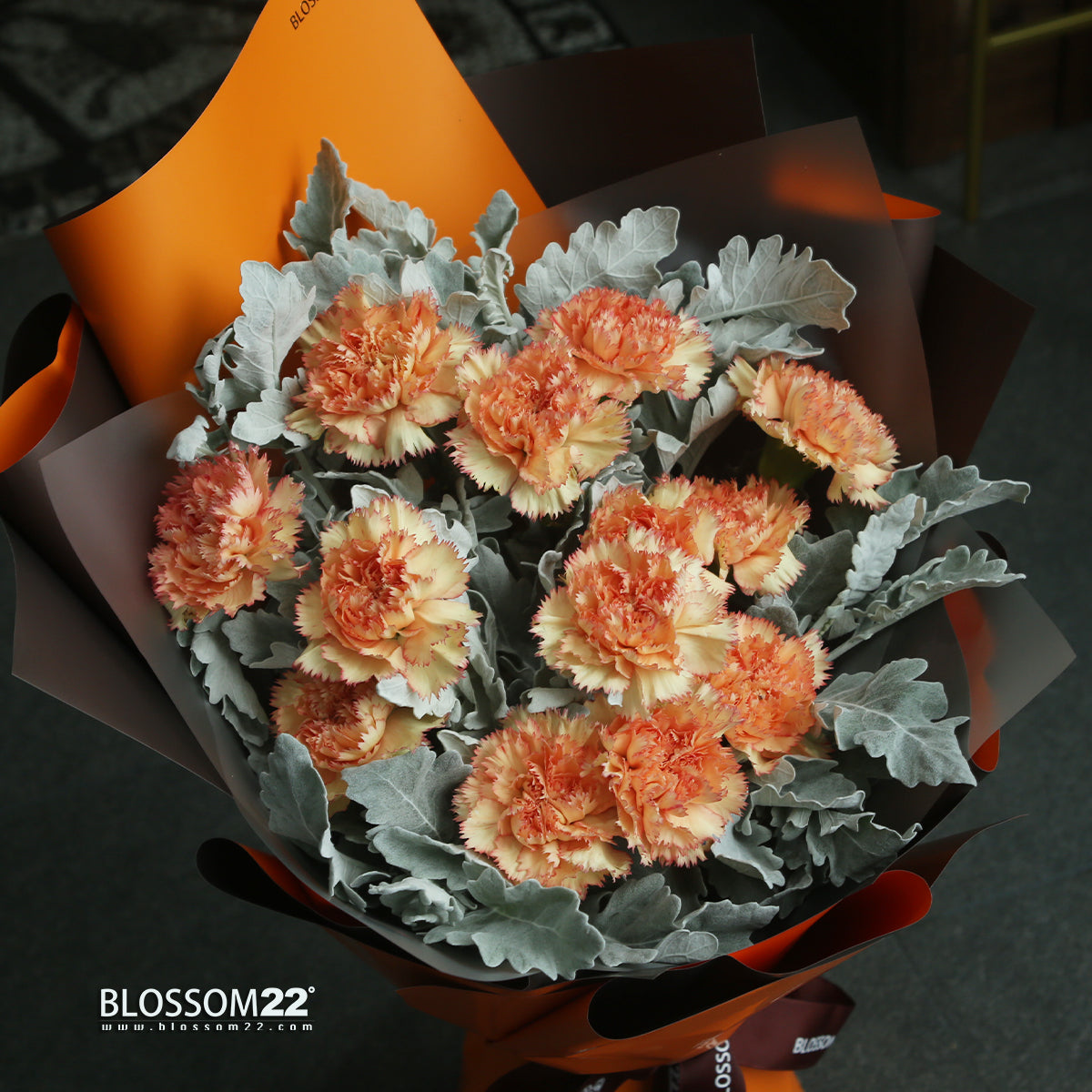 12枝 橙色康乃馨鮮花束｜12 Orange Carnation Bouquet (母親節花束)