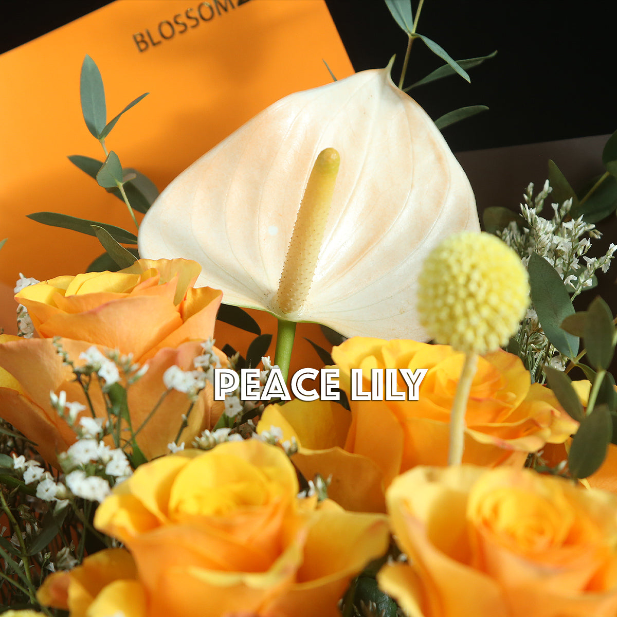 12橙色玫瑰白掌花瓶禮盒｜Orange Roses Peace Lily Vase Boxset