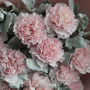 12枝 粉色康乃馨鮮花束｜12 Pink Carnation Bouquet
