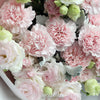 12枝 粉色康乃馨奶粉桔梗鮮花束｜12 Pink Carnation Cream Eustoma Bouquet