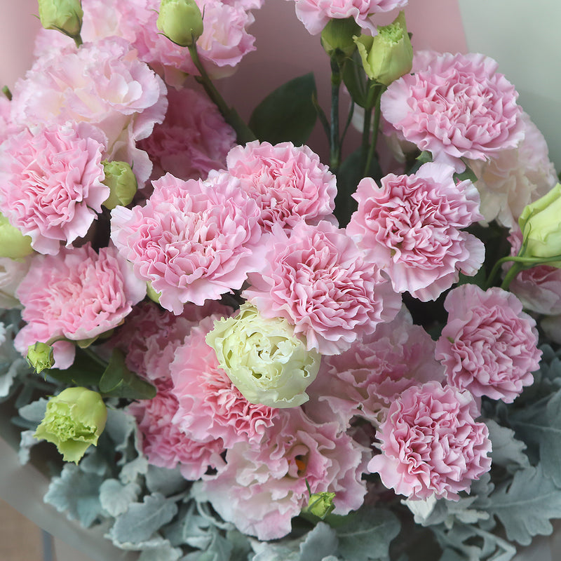 12枝 粉色康乃馨奶粉桔梗鮮花束｜12 Pink Carnation Cream Eustoma Bouquet