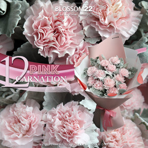 12枝 粉色康乃馨鮮花束｜12 Pink Carnation Bouquet