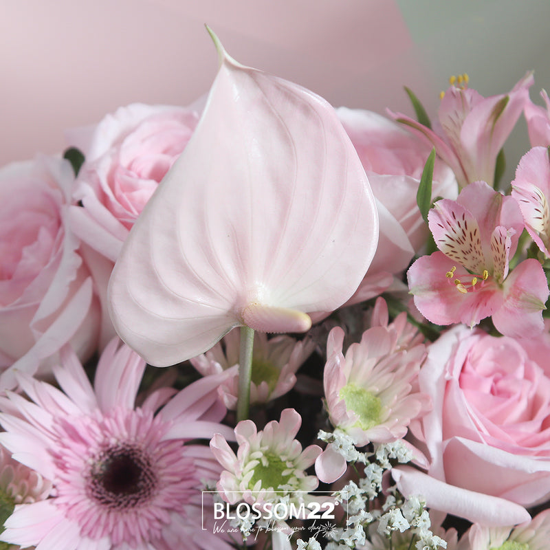 12淺粉庭園玫瑰非洲菊粉掌花束｜Pink Ohara Garden Roses Barberton daisy  Bouquet (Barbie)